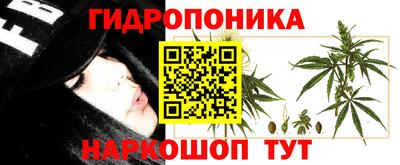 дживик Заводоуковск