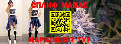шишки Жуковский