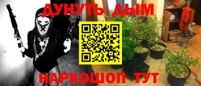 прущие грибы Заволжье