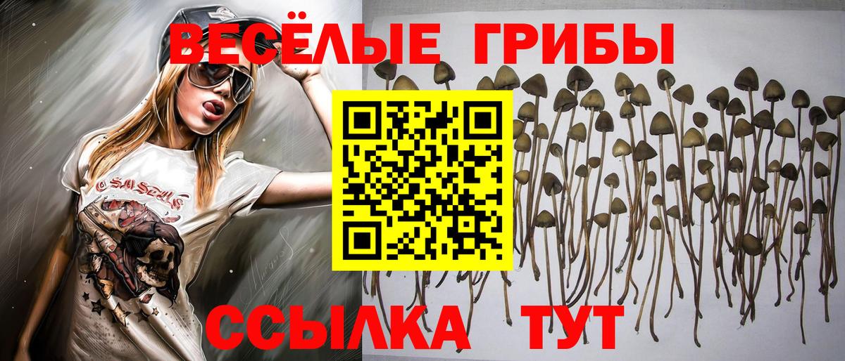 Елизово  Галлюциногенные грибы ЛСД  Вход с VPN 
