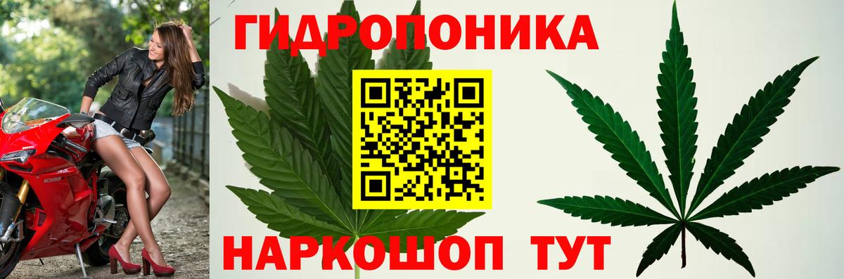 Конопля AK-47  Бошки марихуана MAZAR  МАРИХУАНА семена  Каннабис Amnesia  Елизово  Вход с VPN 